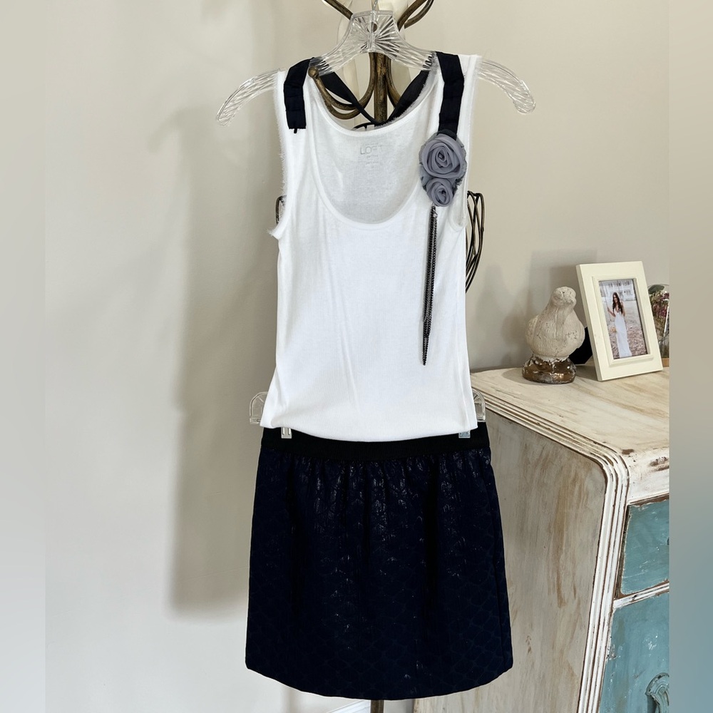 Ann Taylor Loft skirt set